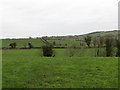 J1630 : Farmland east of the Ballykeel Road by Eric Jones