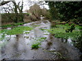 Bosham Stream