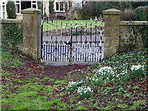 ST7818 : Gate, Marnhull by Maigheach-gheal