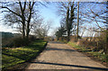 Rural lane looking towards Calow Green