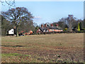 Cottages on Holt