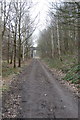 Trans Pennine Trail nr Birley Farm