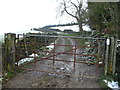 Access track to Fron Hen near Llanferres