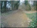 Bridleway off Walton Road