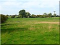 Pasture, Tetsworth