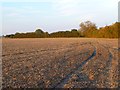 Farmland, Tetsworth