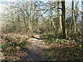 Short footpath south of Fairwarp