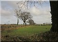 Field boundary, Higher Ponchydown Farm