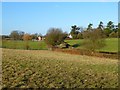 Pasture, Great Missenden