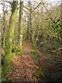 Footpath, Woodcock Cleve