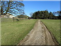 Track approaching Braisty Woods Farm