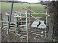 Kissing gate and footbridge near Denbigh