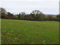 Pasture Fields near Stourton Caundle