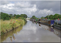 SJ6452 : Shropshire Union Canal near Nantwich, Cheshire by Roger  D Kidd