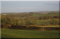 Countryside near Honeychurch