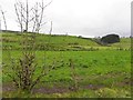 Legamaghery Townland