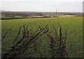 Field near Honeychurch