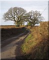 Lane near Coxwell Farm