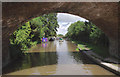 Shropshire Union Canal at Barbridge, Cheshire