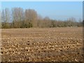 Farmland, Pusey