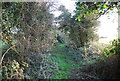 Footpath to Nethergong Penn