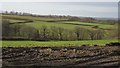 Countryside southeast of Broadwoodkelly