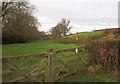 Meadow near Woodland House