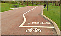 J2664 : Cycle lane, Lisburn by Albert Bridge