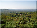 View over Woolbeding Common