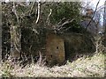 NZ1662 : Retaining wall and ruined building, Blaydon Burn by Andrew Curtis