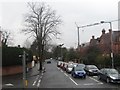 The Ormeau Road at the Rosetta Cross Roads