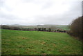 Field north of Puncknowle