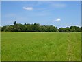 Pasture, Brimpton