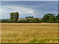 Farmland, North Moreton