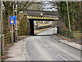 Golborne Dale Bridge