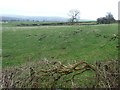 View east from the bench on Haw Cliff Lane