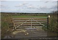 Gate, Loosedon Barton