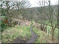 Footpath to Shepley Dike