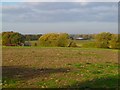 Farmland, Newington