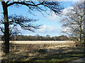 Fields near Nairn