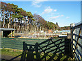 Allotments on Sandown Road