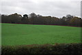TQ2632 : Bensonshill Wood and farmland by N Chadwick