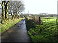 Concrete lane, Effernan