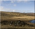 NR4250 : South-west corner of Loch nan Clach, Islay by Becky Williamson