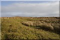NR4150 : Grassland east of Loch Uigeadail, Islay by Becky Williamson