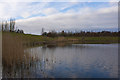 Clock Face Country Park