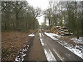 Access to Pachington Farm