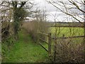 Footpath from Riddlecombe