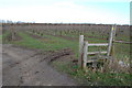 TR0957 : Stile and Orchards, near Chartham Hatch by Julian P Guffogg