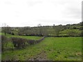 Edenmore Townland